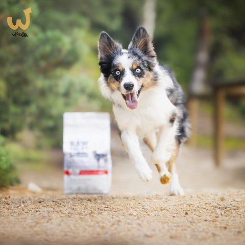 VetExpert Raw Paleo Ultra Wołowina Medium&Large Adult 10kg VetExpert Raw Paleo Ultra Wołowina Medium&Large Adult 10kg