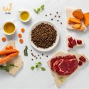 VetExpert Raw Paleo Ultra Wołowina Mini Adult 2kg