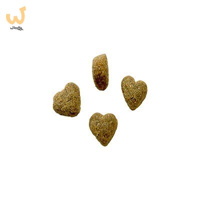 BOZITA Robur Sensitive Single Protein Salmon 3kg BOZITA Robur Sensitive Single Protein Salmon 3kg