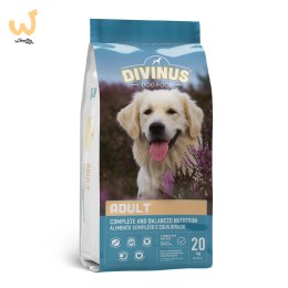 Divinus Adult dla psów dorosłych - sucha karma dla psa - 20 kg
