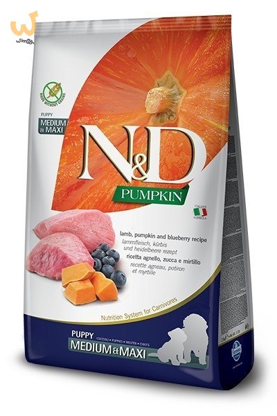 Farmina N&D Pumpkin sucha karma dla szczeniąt ras średnich i dużych z jagnięciną 12kg Farmina N&D Pumpkin sucha karma dla szczeniąt ras średnich i dużych z jagnięciną 12kg