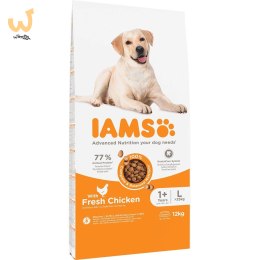 IAMS Vitality Adult Large - sucha karma dla psa - 12 kg