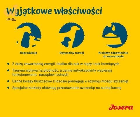 JOSERA Family Plus ciąża,laktacja,szczeniaki 12,5kg JOSERA Family Plus ciąża,laktacja,szczeniaki 12,5kg