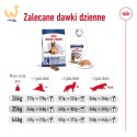 Karma Royal Canin Dog Food Maxi Ageing (15 kg )