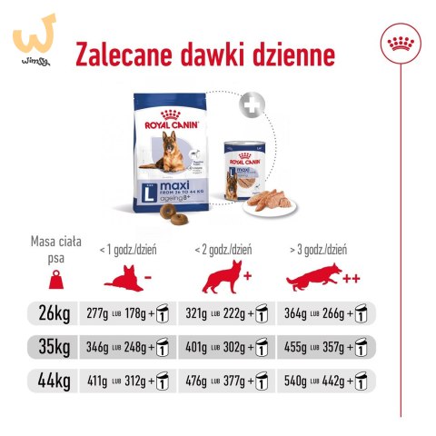 Karma Royal Canin Dog Food Maxi Ageing (15 kg ) Karma Royal Canin Dog Food Maxi Ageing (15 kg )