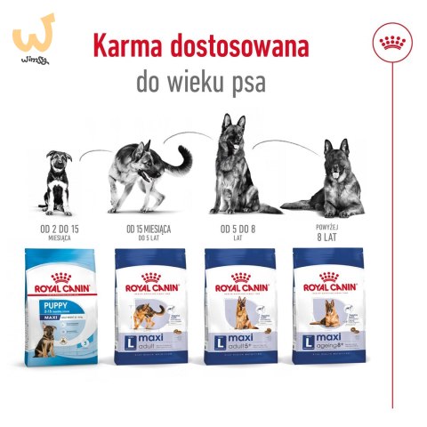 Karma Royal Canin Dog Food Maxi Ageing (15 kg ) Karma Royal Canin Dog Food Maxi Ageing (15 kg )