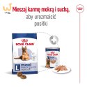 Karma Royal Canin Dog Food Maxi Ageing (15 kg )