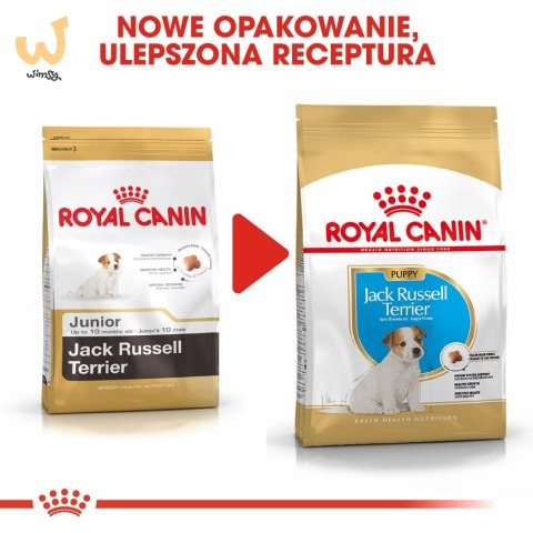 Karma Royal Canin SHN Breed Jack Russ Jun (3 kg ) Karma Royal Canin SHN Breed Jack Russ Jun (3 kg )