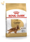 ROYAL CANIN BHN Cocker Adult - sucha karma dla psa dorosłego - 12 kg