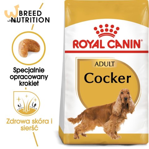 ROYAL CANIN BHN Cocker Adult - sucha karma dla psa dorosłego - 12 kg ROYAL CANIN BHN Cocker Adult - sucha karma dla psa dorosłego - 12 kg