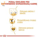 ROYAL CANIN BHN Cocker Adult - sucha karma dla psa dorosłego - 12 kg