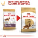 ROYAL CANIN BHN Cocker Adult - sucha karma dla psa dorosłego - 12 kg