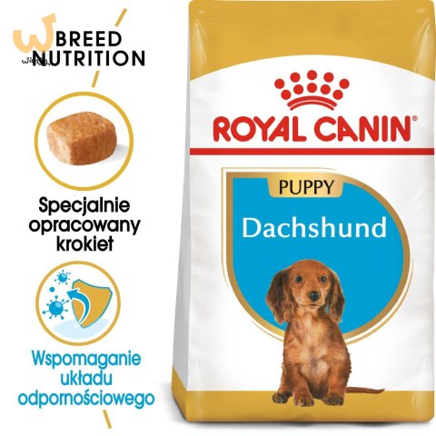 ROYAL CANIN BHN Dachshund Puppy - sucha karma dla szczeniąt - 1,5kg ROYAL CANIN BHN Dachshund Puppy - sucha karma dla szczeniąt - 1,5kg