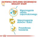 ROYAL CANIN BHN Dachshund Puppy - sucha karma dla szczeniąt - 1,5kg