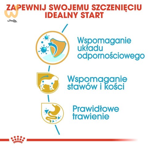 ROYAL CANIN BHN Dachshund Puppy - sucha karma dla szczeniąt - 1,5kg ROYAL CANIN BHN Dachshund Puppy - sucha karma dla szczeniąt - 1,5kg