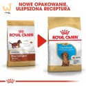 ROYAL CANIN BHN Dachshund Puppy - sucha karma dla szczeniąt - 1,5kg