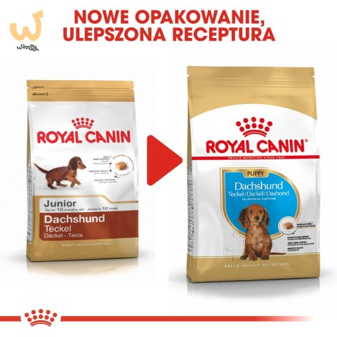 ROYAL CANIN BHN Dachshund Puppy - sucha karma dla szczeniąt - 1,5kg ROYAL CANIN BHN Dachshund Puppy - sucha karma dla szczeniąt - 1,5kg