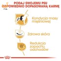 ROYAL CANIN BHN French Bulldog Adult - sucha karma dla psa dorosłego - 3kg