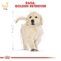 ROYAL CANIN BHN Golden Retriever Puppy - sucha karma dla szczeniąt - 12 kg