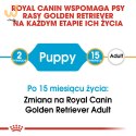 ROYAL CANIN BHN Golden Retriever Puppy - sucha karma dla szczeniąt - 12 kg