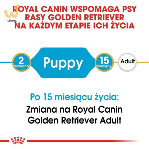 ROYAL CANIN BHN Golden Retriever Puppy - sucha karma dla szczeniąt - 12 kg ROYAL CANIN BHN Golden Retriever Puppy - sucha karma dla szczeniąt - 12 kg