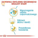 ROYAL CANIN BHN Golden Retriever Puppy - sucha karma dla szczeniąt - 12 kg