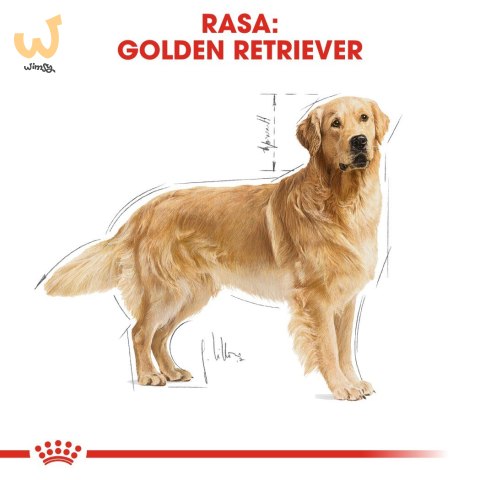 ROYAL CANIN BHN Golden Retriever - sucha karma dla psa dorosłego - 12 kg ROYAL CANIN BHN Golden Retriever - sucha karma dla psa dorosłego - 12 kg
