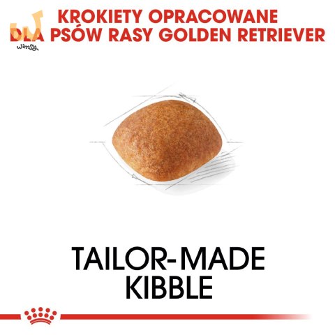 ROYAL CANIN BHN Golden Retriever - sucha karma dla psa dorosłego - 12 kg ROYAL CANIN BHN Golden Retriever - sucha karma dla psa dorosłego - 12 kg