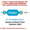 ROYAL CANIN BHN Labrador Retriever Puppy - sucha karma dla szczeniąt - 3kg