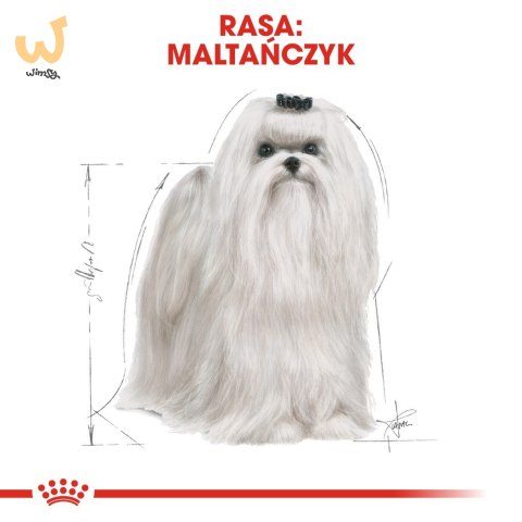 ROYAL CANIN BHN Maltese - sucha karma dla psa - 0,5kg ROYAL CANIN BHN Maltese - sucha karma dla psa - 0,5kg