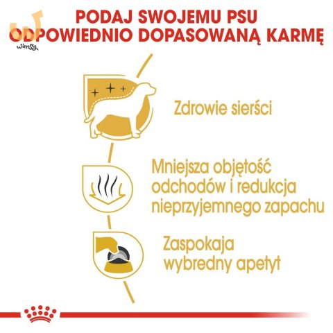 ROYAL CANIN BHN Maltese - sucha karma dla psa - 0,5kg ROYAL CANIN BHN Maltese - sucha karma dla psa - 0,5kg