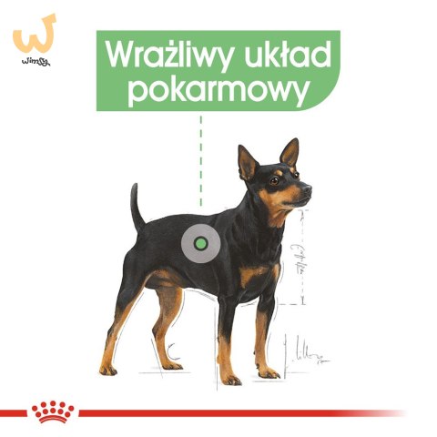 ROYAL CANIN CCN MINI DIGESTIVETIVE CARE - sucha karma dla psa dorosłego - 3kg ROYAL CANIN CCN MINI DIGESTIVETIVE CARE - sucha karma dla psa dorosłego - 3kg