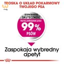 ROYAL CANIN CCN MINI EXIGENT - sucha karma dla psa - 3 kg