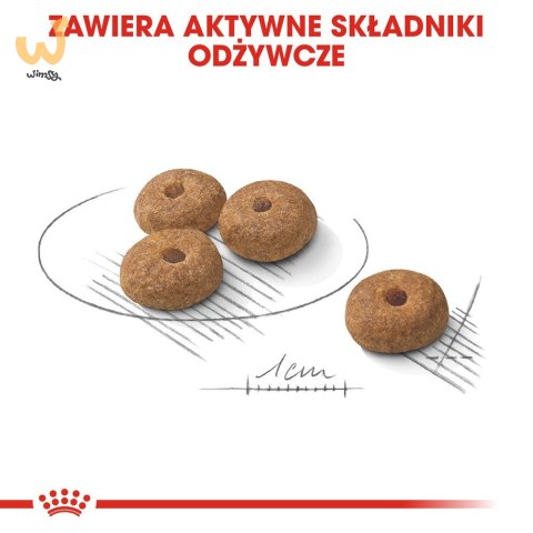 ROYAL CANIN CCN MINI STERILISED - sucha karma dla psa dorosłego - 8kg ROYAL CANIN CCN MINI STERILISED - sucha karma dla psa dorosłego - 8kg