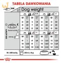 ROYAL CANIN CCN MINI STERILISED - sucha karma dla psa dorosłego - 8kg