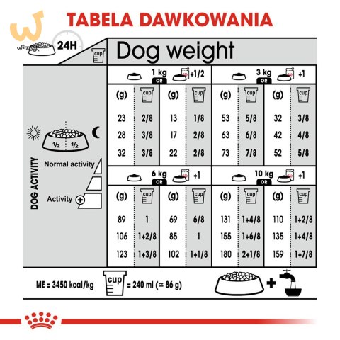 ROYAL CANIN CCN MINI STERILISED - sucha karma dla psa dorosłego - 8kg ROYAL CANIN CCN MINI STERILISED - sucha karma dla psa dorosłego - 8kg