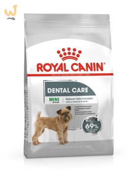 ROYAL CANIN CCN Mini Dental Care - sucha karma dla dorosłych psów - 3 kg
