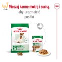 ROYAL CANIN Mini Adult +8 2kg - sucha karma dla psa
