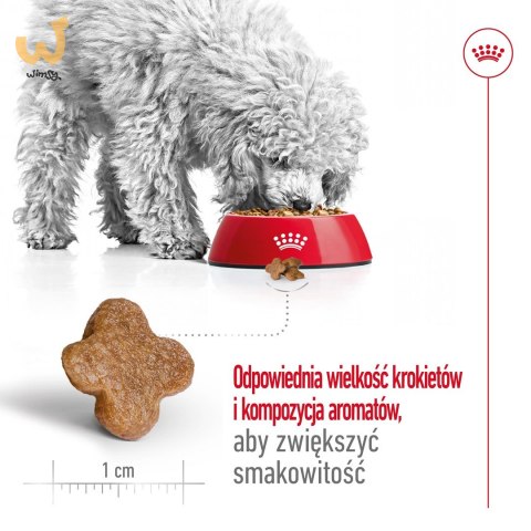ROYAL CANIN Mini Adult +8 2kg - sucha karma dla psa ROYAL CANIN Mini Adult +8 2kg - sucha karma dla psa