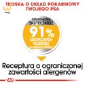ROYAL CANIN Mini Dermacomfort - karma dla psów dorosłych ras małych - 3kg