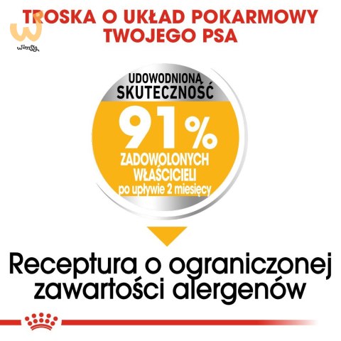 ROYAL CANIN Mini Dermacomfort - karma dla psów dorosłych ras małych - 3kg ROYAL CANIN Mini Dermacomfort - karma dla psów dorosłych ras małych - 3kg