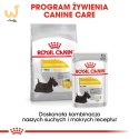 ROYAL CANIN Mini Dermacomfort - karma dla psów dorosłych ras małych - 3kg