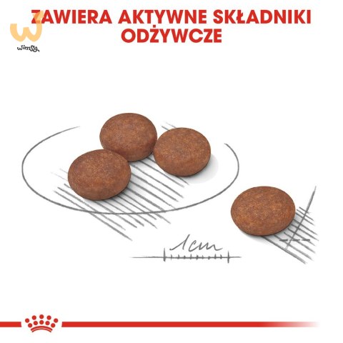 ROYAL CANIN Mini Digestive Care - karma sucha dla psów dorosłych ras małych - 1kg ROYAL CANIN Mini Digestive Care - karma sucha dla psów dorosłych ras małych - 1kg
