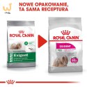 ROYAL CANIN Mini Exigent - sucha karma dla psów wybrednych - 1 kg