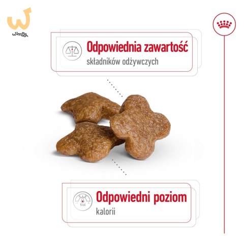 ROYAL CANIN Mini Mature 0,8kg ROYAL CANIN Mini Mature 0,8kg