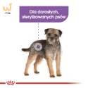 ROYAL CANIN Mini Sterilised - sucha karma dla psa - 1kg