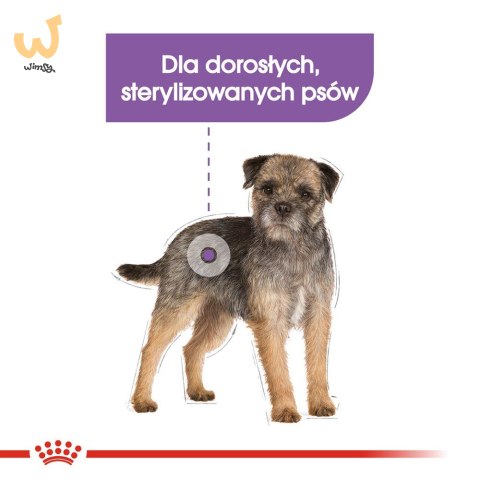 ROYAL CANIN Mini Sterilised - sucha karma dla psa - 1kg ROYAL CANIN Mini Sterilised - sucha karma dla psa - 1kg