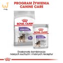 ROYAL CANIN Mini Sterilised - sucha karma dla psa - 1kg