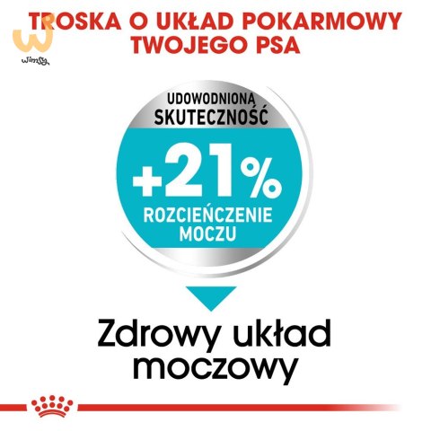 ROYAL CANIN Mini Urinary Care CCN - sucha karma dla psa - 1kg ROYAL CANIN Mini Urinary Care CCN - sucha karma dla psa - 1kg