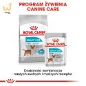 ROYAL CANIN Mini Urinary Care CCN - sucha karma dla psa - 1kg